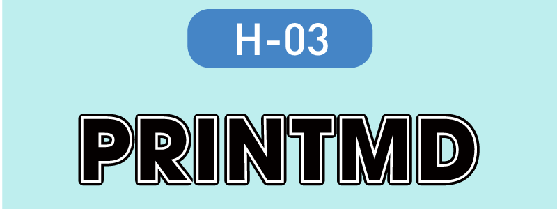 h3